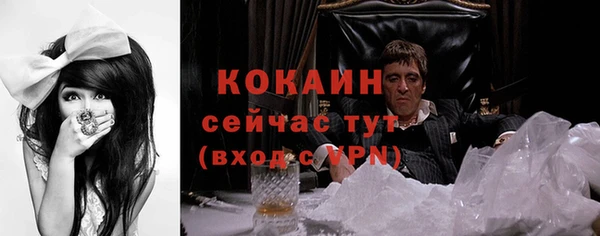 дурь Арсеньев