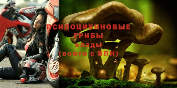 индика Армянск