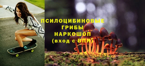 дурь Арсеньев