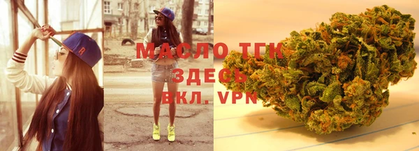 индика Армянск